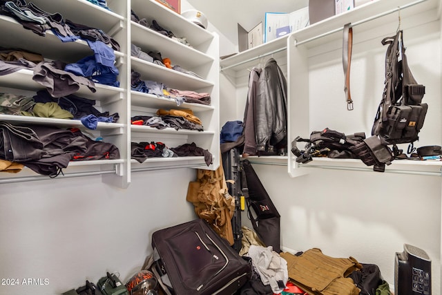 view of spacious closet