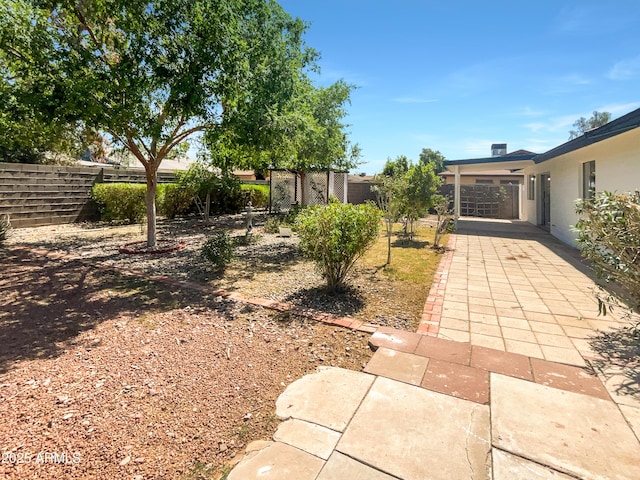 920 E Garnet Ave, Mesa, AZ 85204 - view of yard with a patio