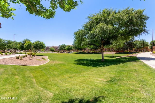1350 S Greenfield Rd Unit 2205, Mesa, AZ 85206 - view of green lawn