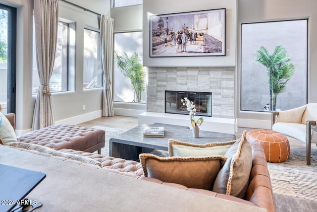 living room with a fireplace and light hardwood / wood-style flooring