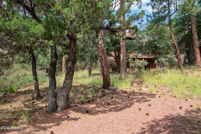 5120 N Juniper Loop, Pine, AZ 85544 - view of nature