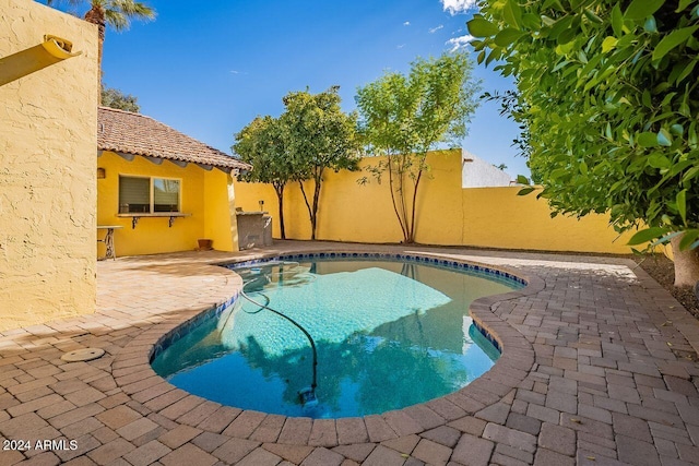 view of pool featuring a patio area