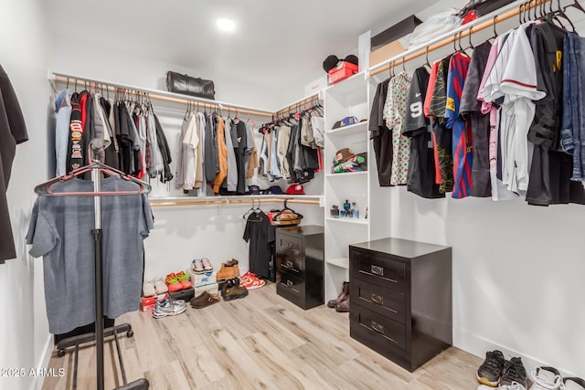 spacious closet featuring wood finished floors