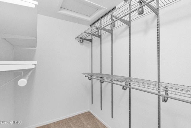 walk in closet featuring light carpet