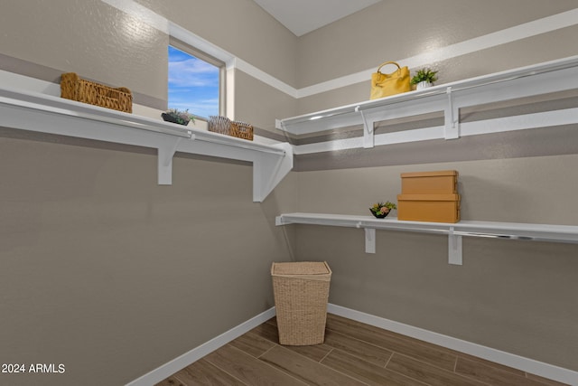 spacious closet featuring wood finished floors