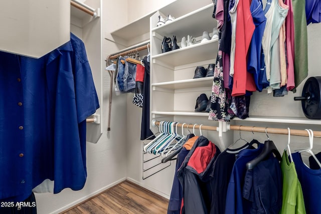16626 E Westby Dr Unit 108, Fountain Hills, AZ 85268 - walk in closet with wood finished floors