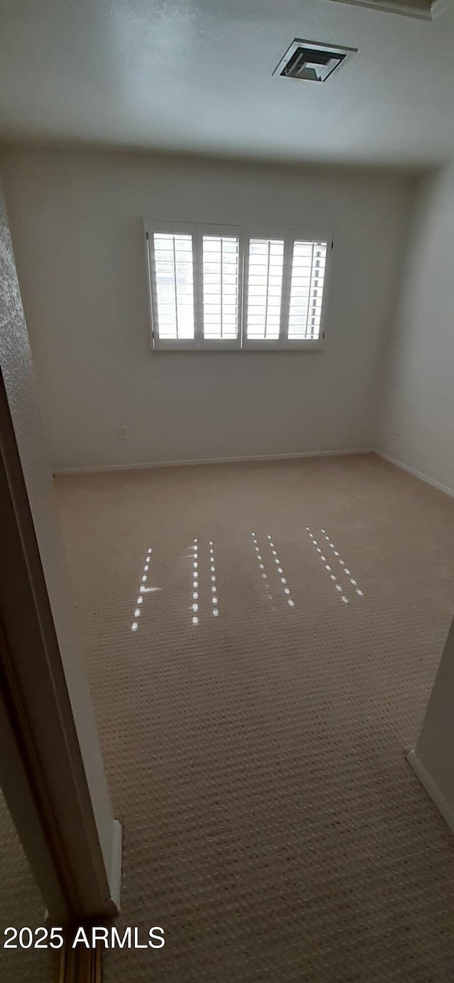 spare room with plenty of natural light, carpet, and baseboards