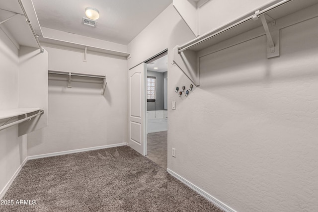 4322 S Ranger Trl, Gilbert, AZ 85297 - walk in closet featuring carpet flooring