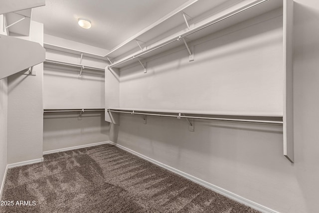 4322 S Ranger Trl, Gilbert, AZ 85297 - walk in closet with carpet