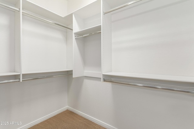 31604 N 19th Ave, Phoenix, AZ 85085 - walk in closet featuring carpet floors