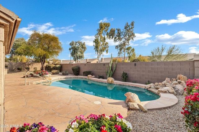 view of swimming pool featuring a patio