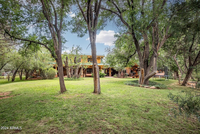 view of yard featuring a trampoline