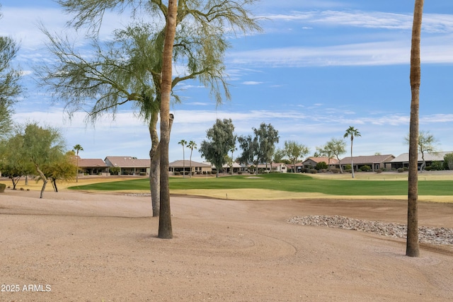 view of community featuring a yard