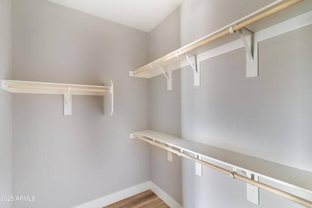 spacious closet featuring wood-type flooring