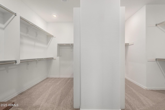 walk in closet with carpet flooring