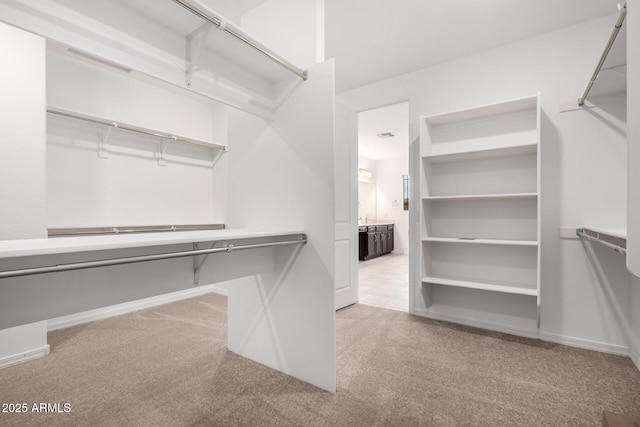 walk in closet with carpet flooring