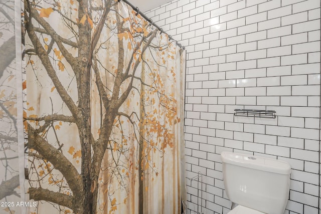 bathroom with toilet, tile walls, and a shower with shower curtain