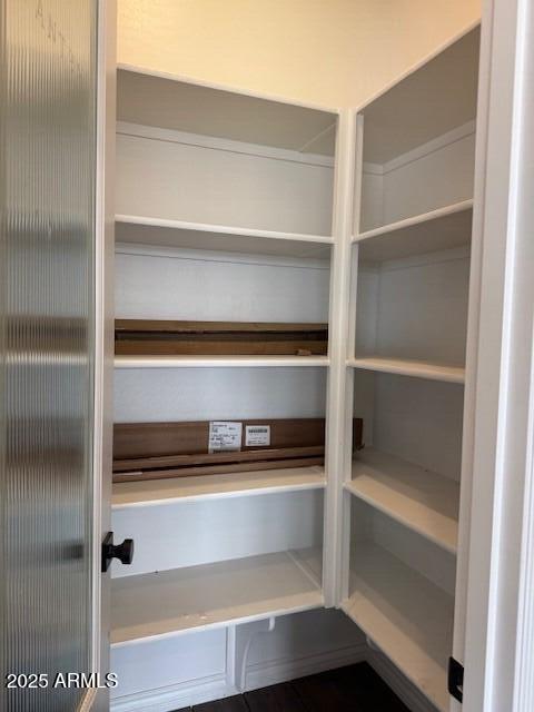 10039 W Verde Ln, Avondale, AZ 85392 - view of pantry