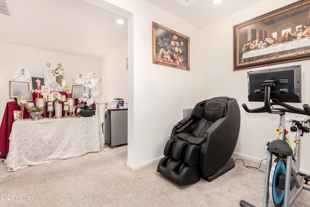 view of carpeted home office