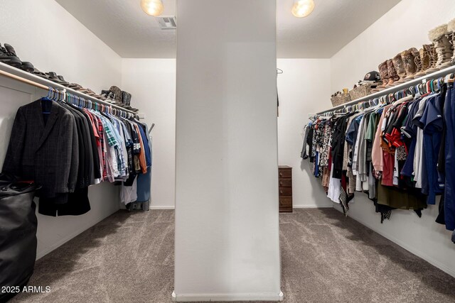 6971 W El Cortez Pl, Peoria, AZ 85383 - spacious closet featuring carpet