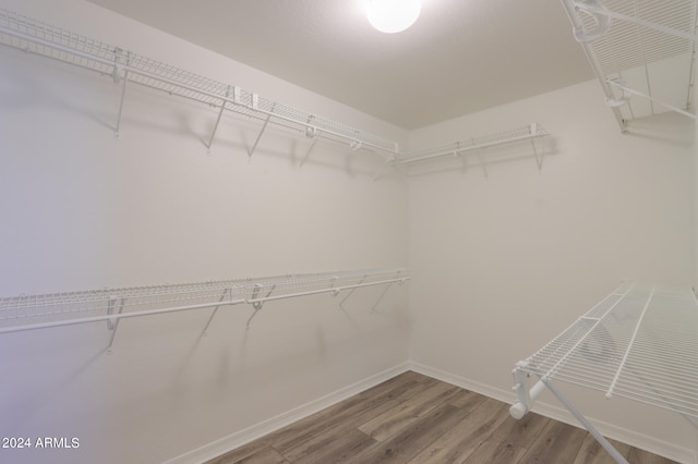 walk in closet featuring wood-type flooring