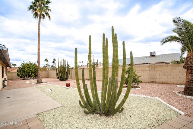 view of yard with a patio and a fenced backyard