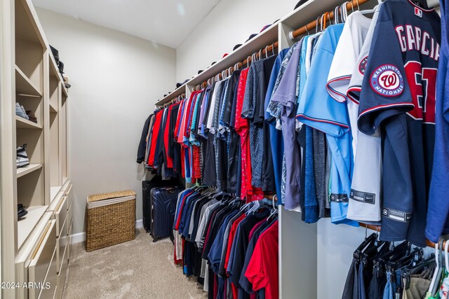 spacious closet with carpet flooring