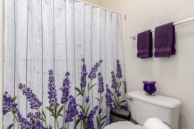 2058 E Marlene Dr, Gilbert, AZ 85296 - full bathroom with toilet and a shower with curtain