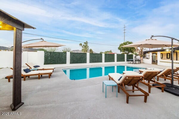 view of pool with a patio