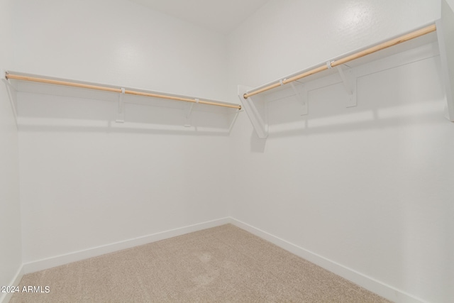 walk in closet with carpet floors