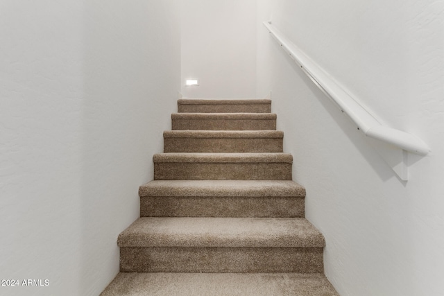 stairway with carpet flooring