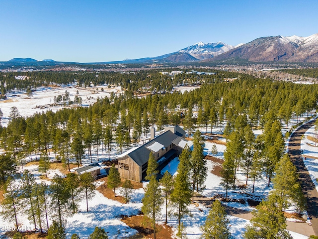 snowy aerial view with a mountain view