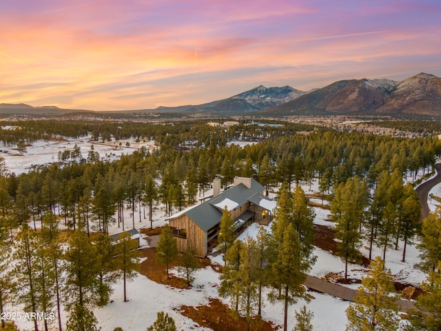 snowy aerial view featuring a mountain view