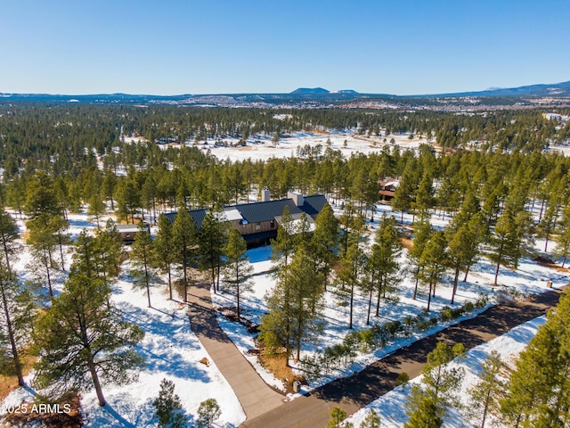 snowy aerial view with a view of trees and a mountain view