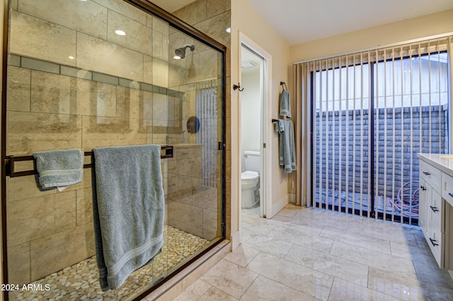 bathroom featuring vanity, toilet, and a shower with door