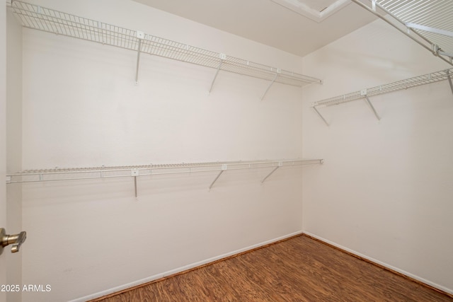 13721 W Franciscan Dr, Sun City West, AZ 85375 - spacious closet with wood finished floors