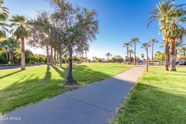 view of community with a yard