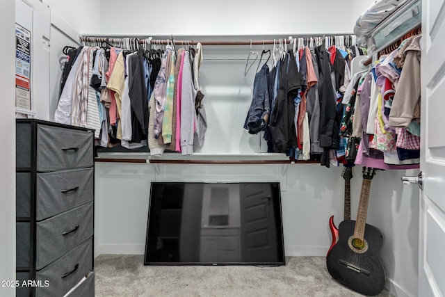 walk in closet featuring carpet flooring