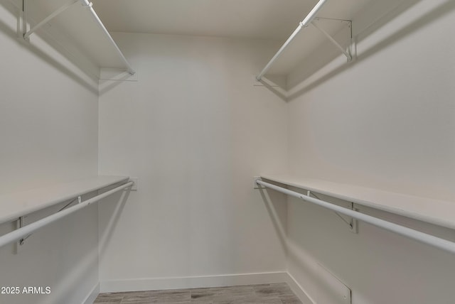 spacious closet featuring light wood-style flooring