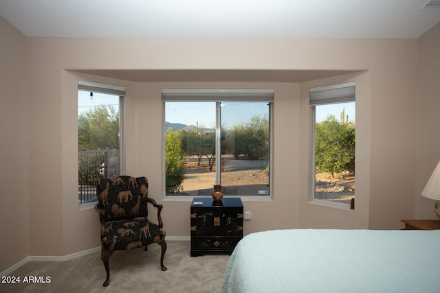 bedroom with light carpet