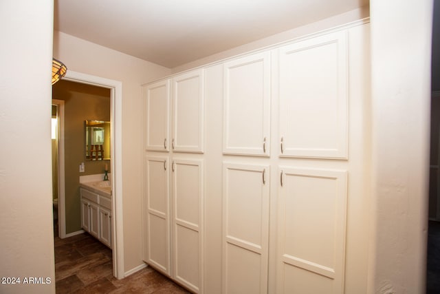 closet featuring sink