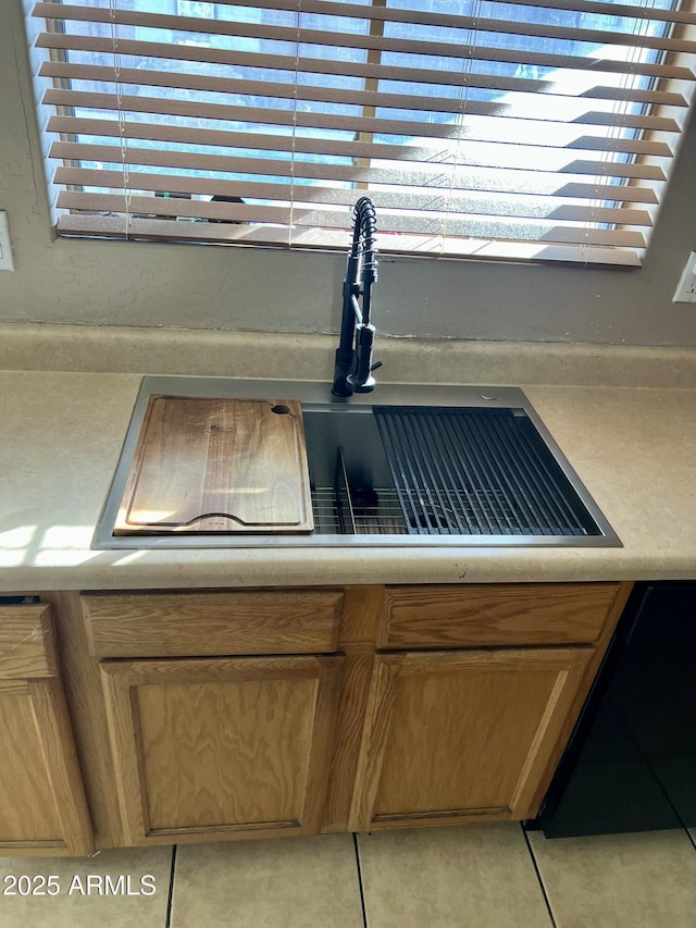 interior details featuring sink