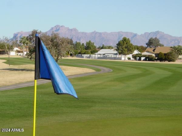 view of property's community featuring a lawn and a mountain view