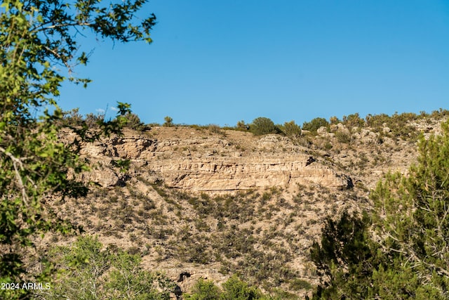 view of nature