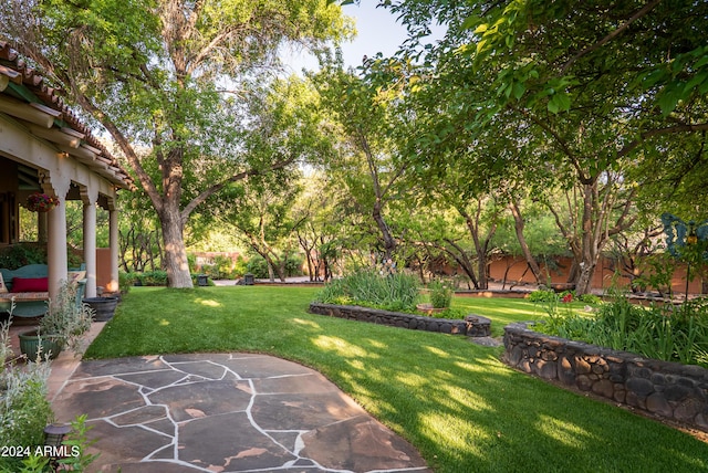 view of yard with a patio