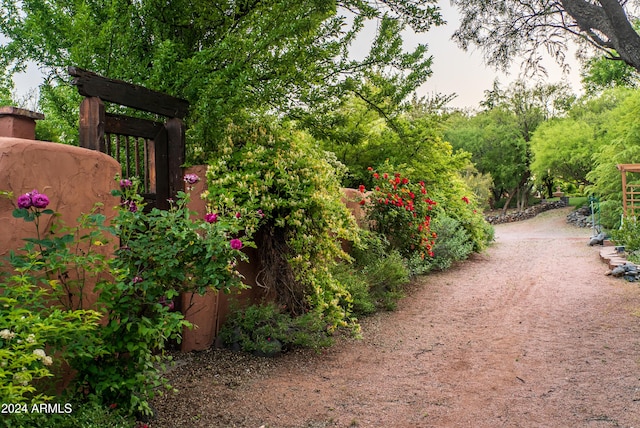 view of yard