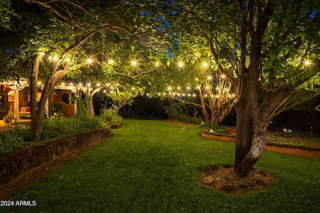 view of yard at night