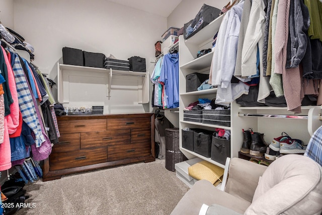 walk in closet with carpet