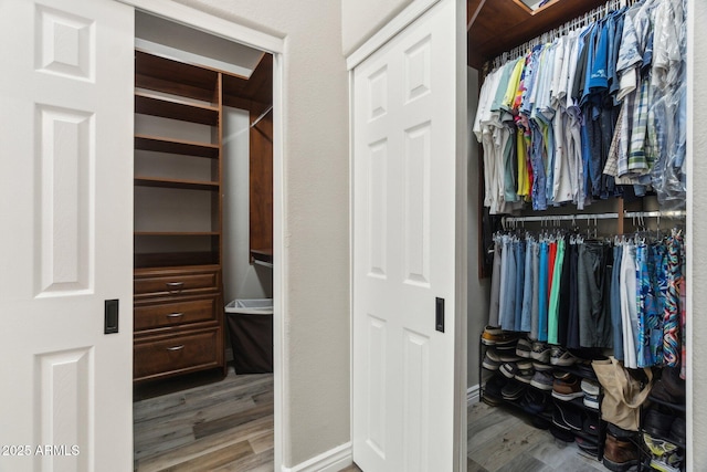 spacious closet with wood-type flooring