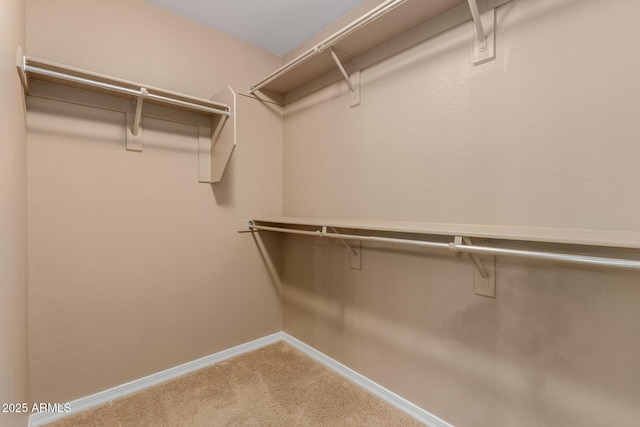 21136 N 36th Pl, Phoenix, AZ 85050 - walk in closet featuring carpet